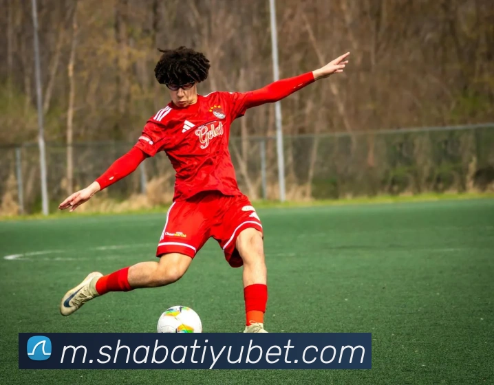 沙巴体育平台生态图