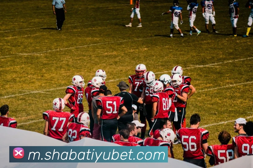 沙巴体育APP 封面图